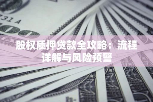 北京股权质押贷款全攻略：流程详解与风险预警