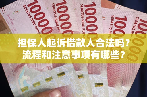 北京担保人起诉借款人合法吗？流程和注意事项有哪些？