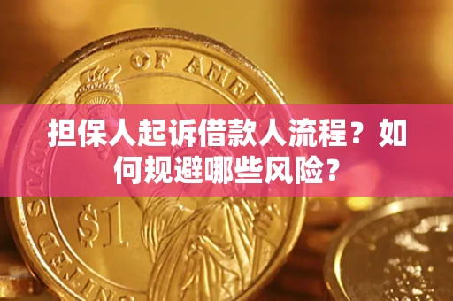 北京担保人起诉借款人流程？如何规避哪些风险？